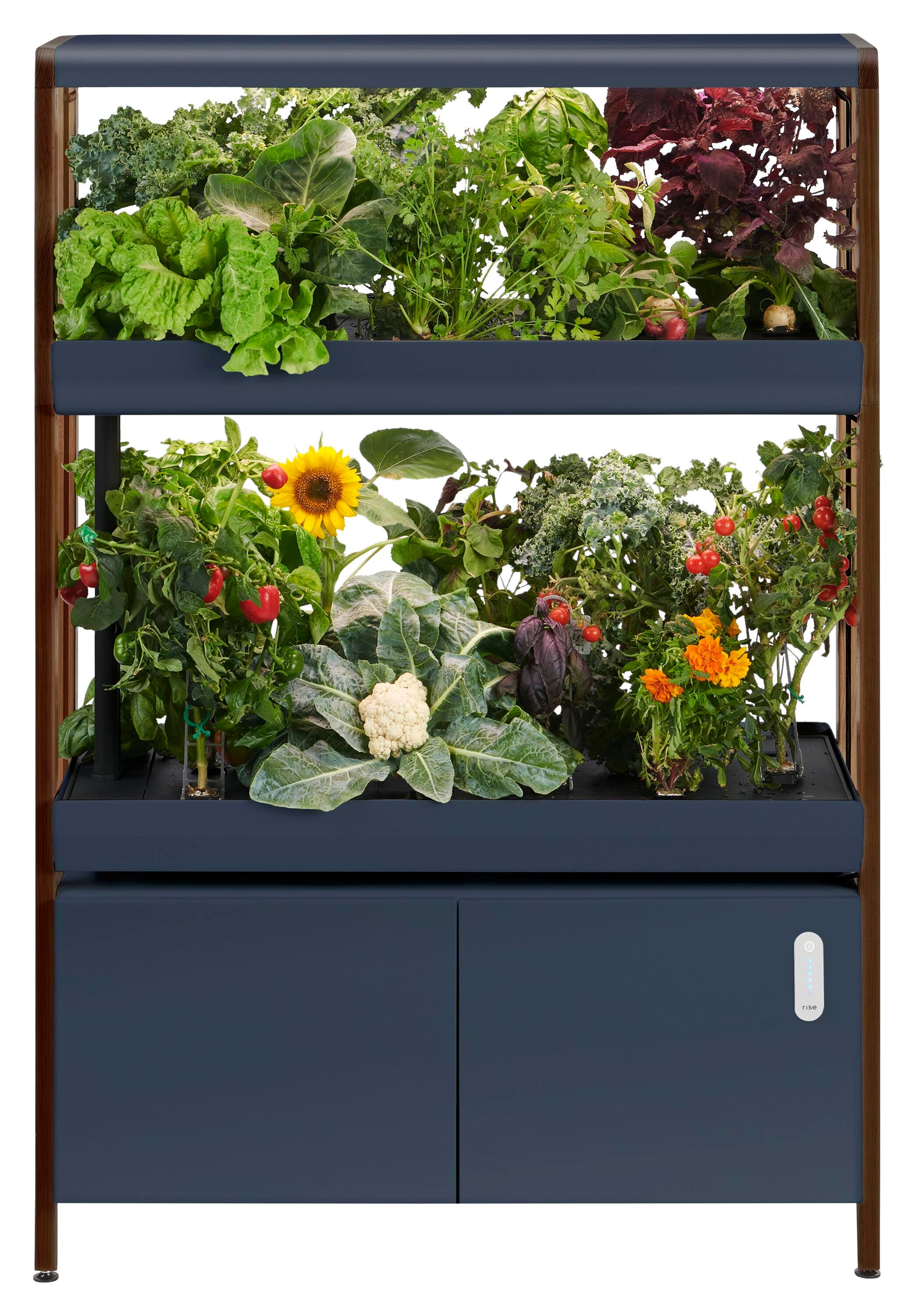 Double Rise Garden Charcoal 2134756